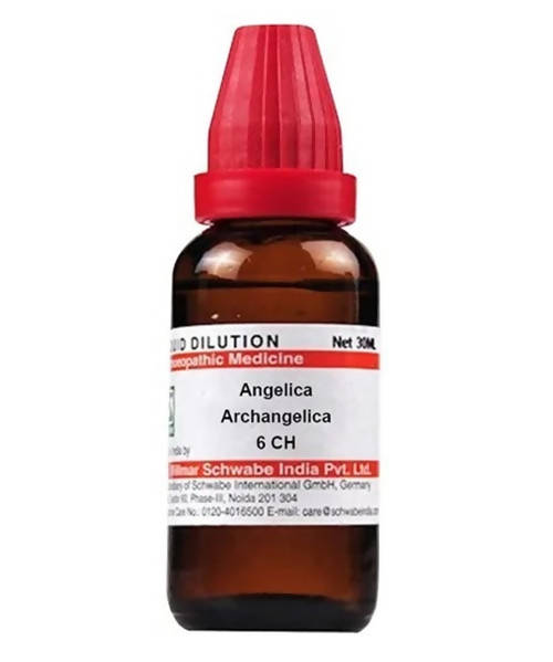 https://cdn.shopify.com/s/files/1/1857/6931/products/ybyEC1EjH7.jpg?v=1640930294