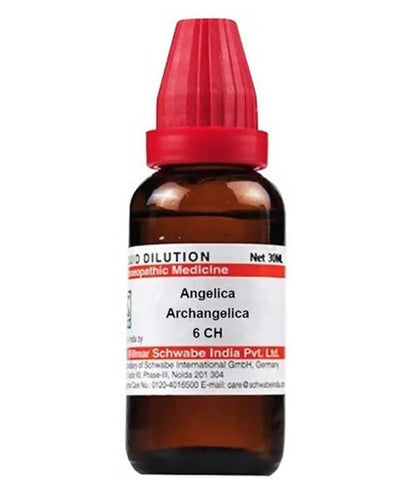 https://cdn.shopify.com/s/files/1/1857/6931/products/ybyEC1EjH7.jpg?v=1640930294