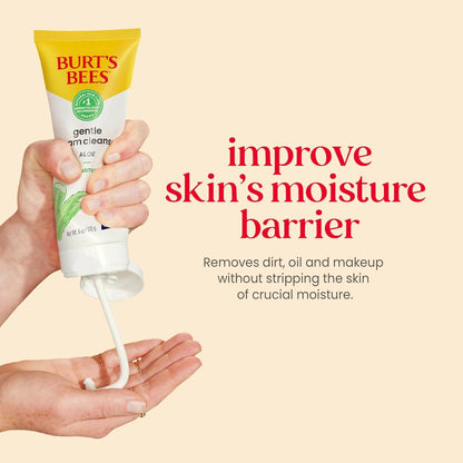 https://cdn.shopify.com/s/files/1/1857/6931/files/yeT1RVVJPr.jpg?v=1736425084