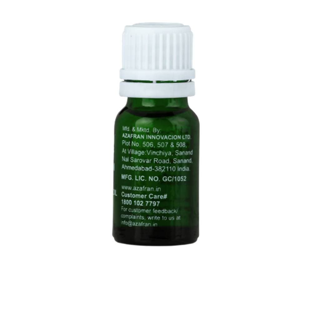 https://cdn.shopify.com/s/files/1/1857/6931/products/yhGOrJYAta.jpg?v=1613904116