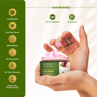 https://cdn.shopify.com/s/files/1/1857/6931/files/yjCtM02GdO.png?v=1720419992