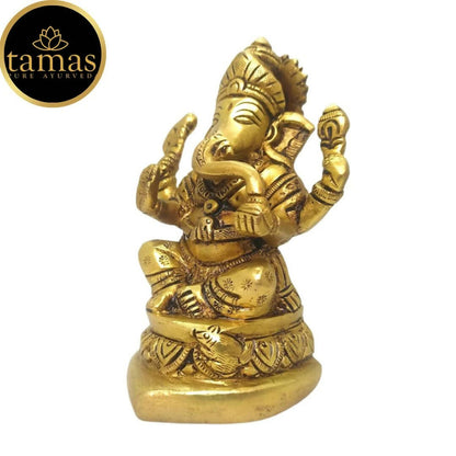 https://cdn.shopify.com/s/files/1/1857/6931/products/yk5GZz5jqt.jpg?v=1681466652