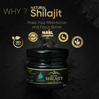 https://cdn.shopify.com/s/files/1/1857/6931/products/ylQTLOz5FQ.jpg?v=1693904908