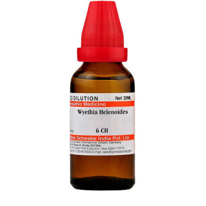 https://cdn.shopify.com/s/files/1/1857/6931/products/yon3Iqzish.jpg?v=1639979384