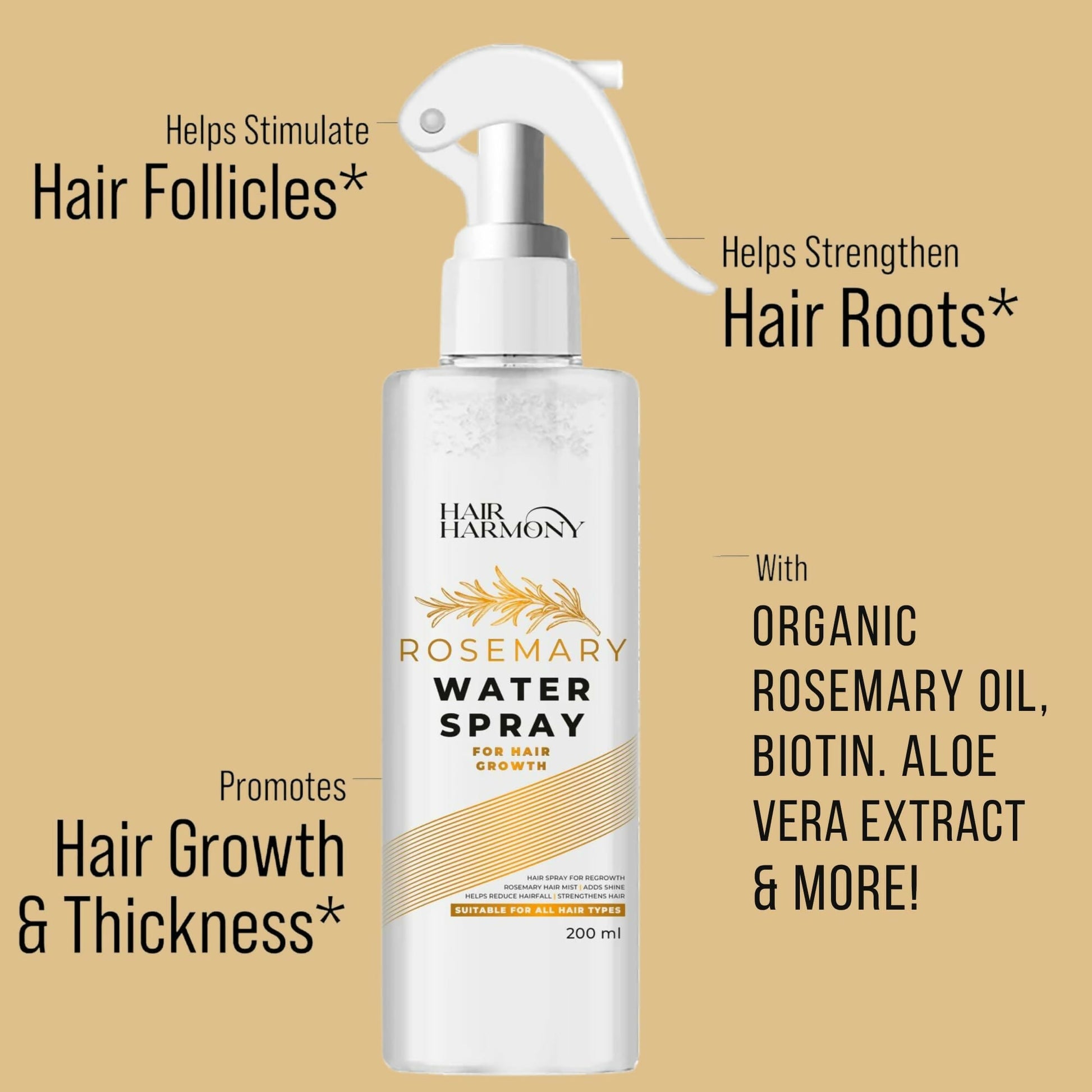 https://cdn.shopify.com/s/files/1/1857/6931/files/yqvZpSNQtU.jpg?v=1727762821
