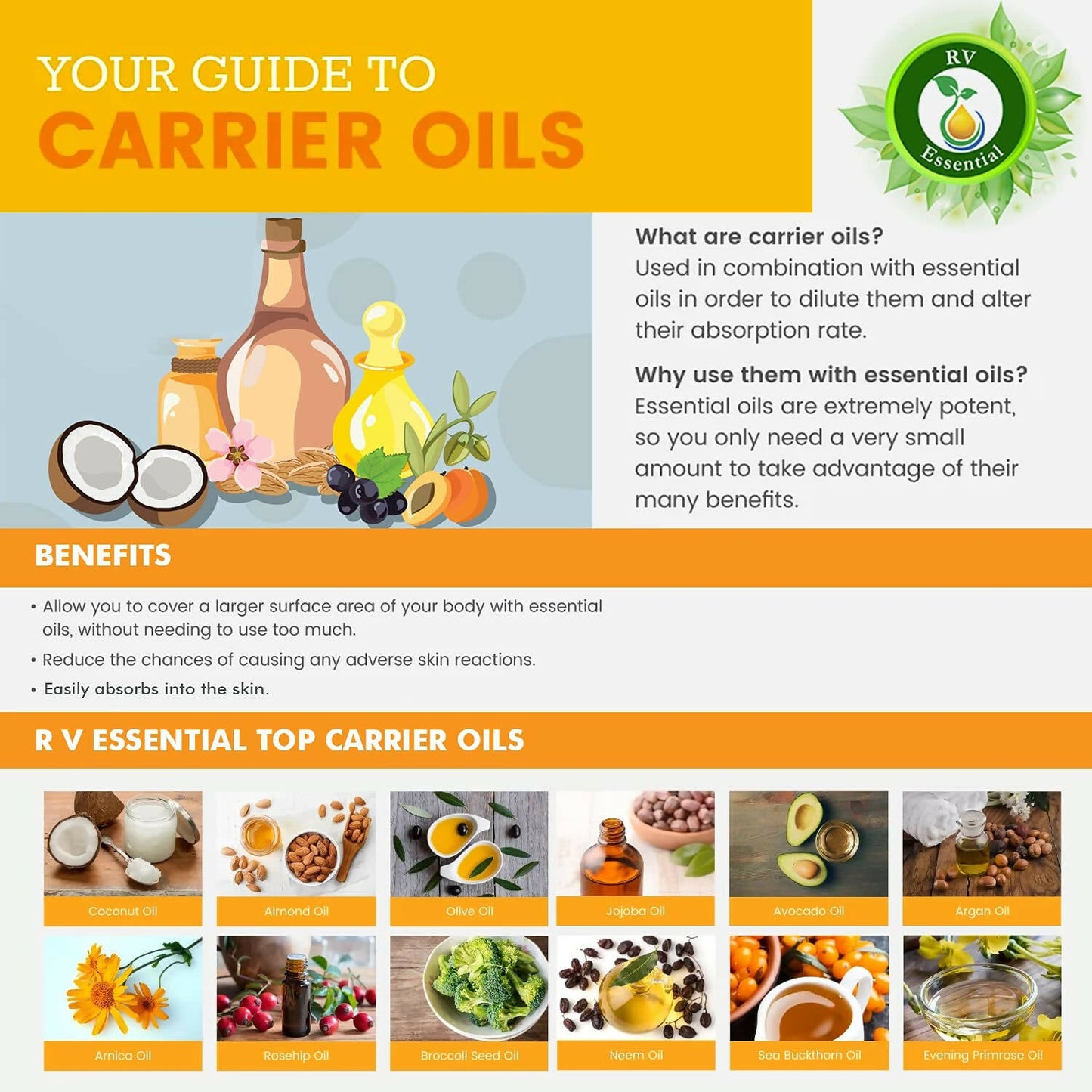 https://cdn.shopify.com/s/files/1/1857/6931/products/yrIdh9UdQ1.jpg?v=1683020376