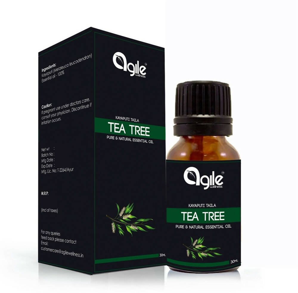 https://cdn.shopify.com/s/files/1/1857/6931/files/yx6QwqGwOg-477666.jpg?v=1736144035