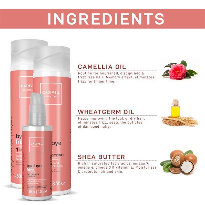 https://cdn.shopify.com/s/files/1/1857/6931/files/yyoKFPWtbV.png?v=1722255016