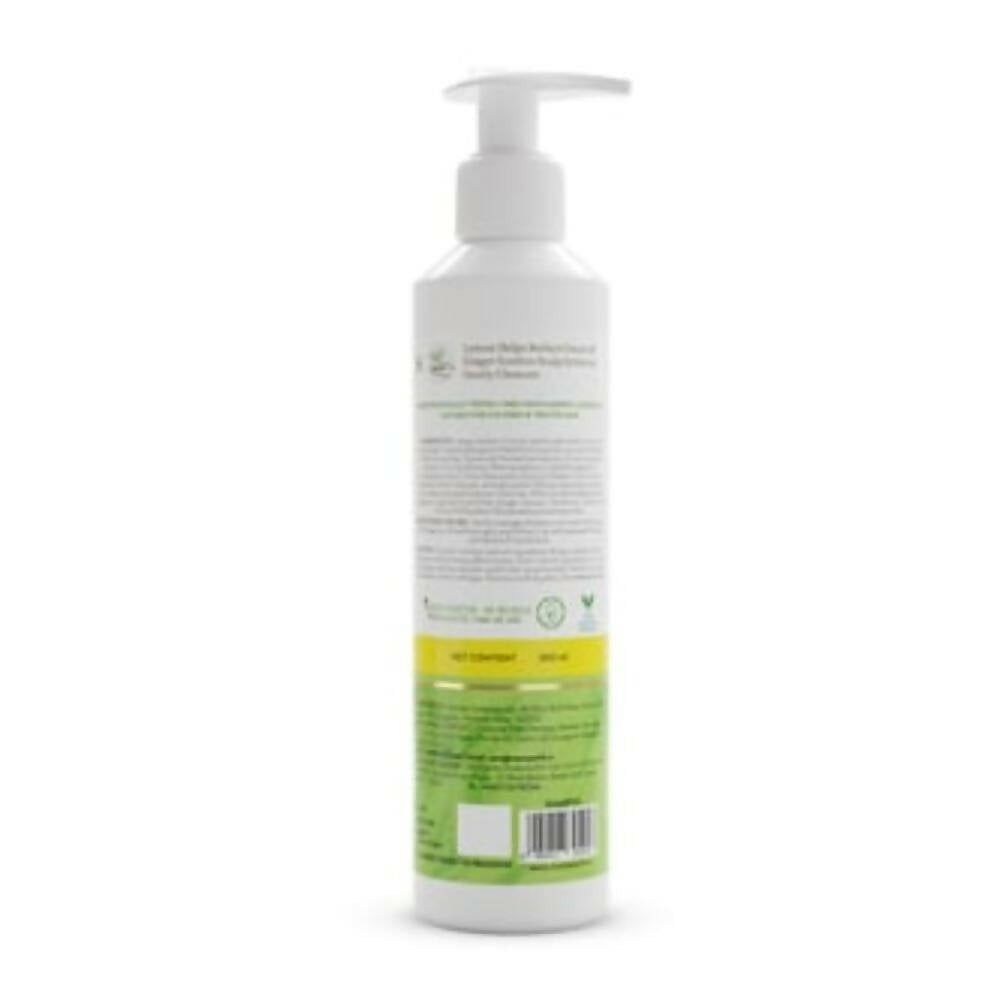 https://cdn.shopify.com/s/files/1/1857/6931/products/yyuqprFVVp.jpg?v=1722343721