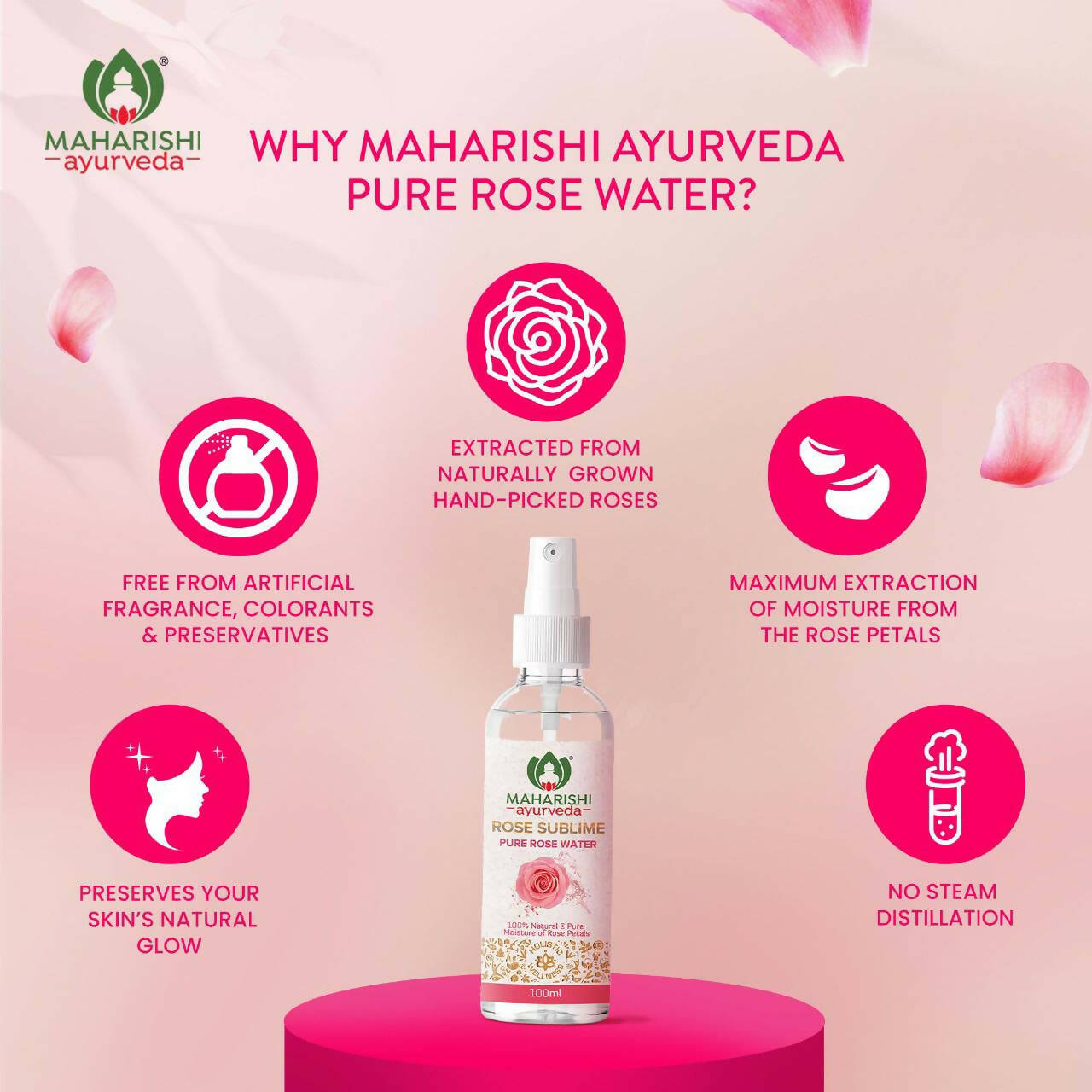 https://cdn.shopify.com/s/files/1/1857/6931/products/z5lrlLAGse.jpg?v=1675508748