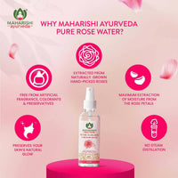 https://cdn.shopify.com/s/files/1/1857/6931/products/z5lrlLAGse.jpg?v=1675508748