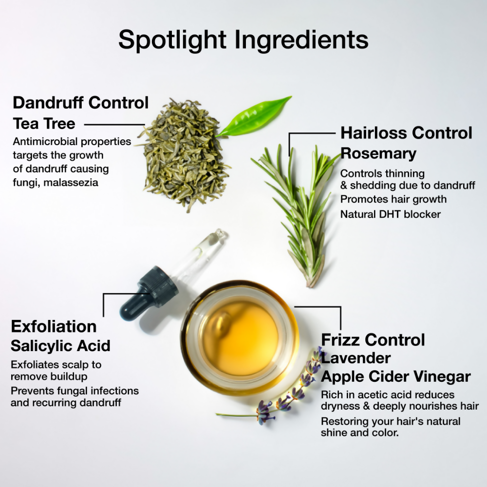 https://cdn.shopify.com/s/files/1/1857/6931/files/z79B1y1Fsp.png?v=1742819293