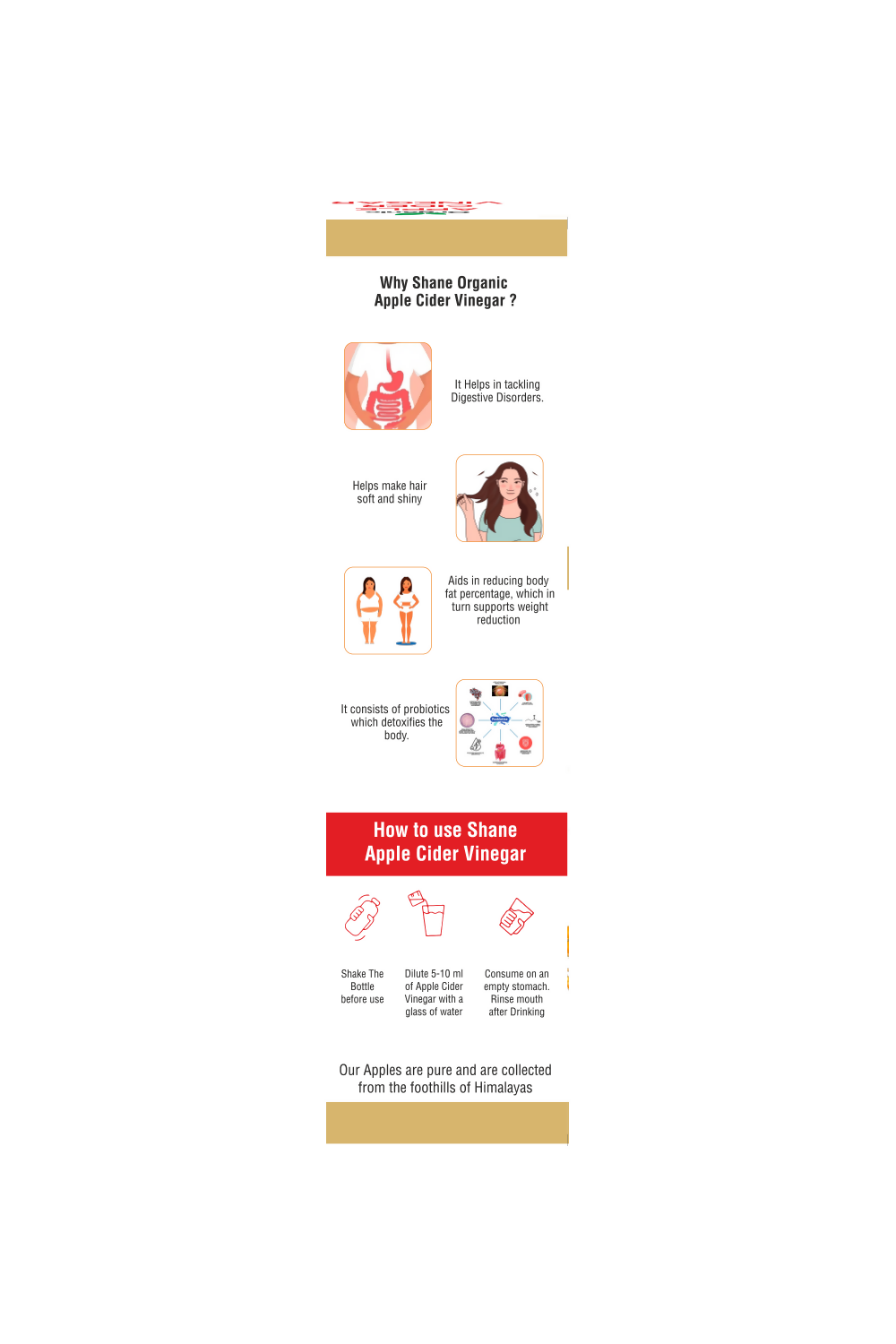https://cdn.shopify.com/s/files/1/1857/6931/files/z7RtLGaa39.png?v=1743763937
