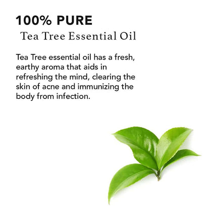 https://cdn.shopify.com/s/files/1/1857/6931/products/zAVHnKqqEM.jpg?v=1663398102