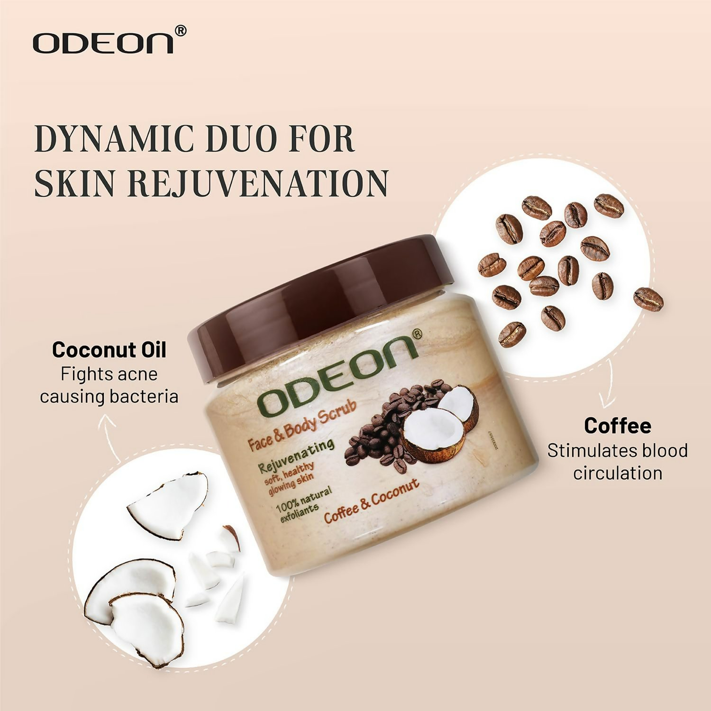 https://cdn.shopify.com/s/files/1/1857/6931/files/zAZVecq6ct.png?v=1754074139