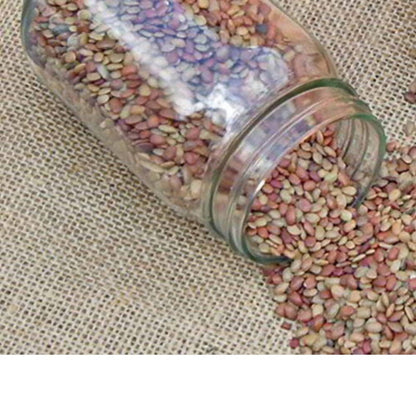 https://cdn.shopify.com/s/files/1/1857/6931/products/zBD6YiBJSH.jpg?v=1631241131
