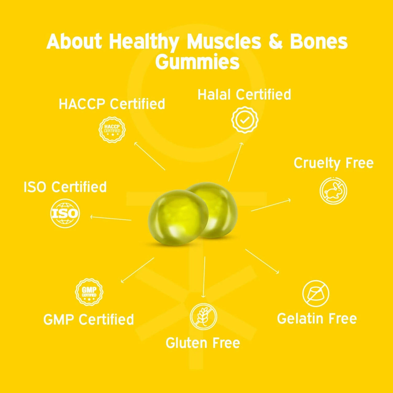 https://cdn.shopify.com/s/files/1/1857/6931/products/zCQuc4xX2k.jpg?v=1704284458