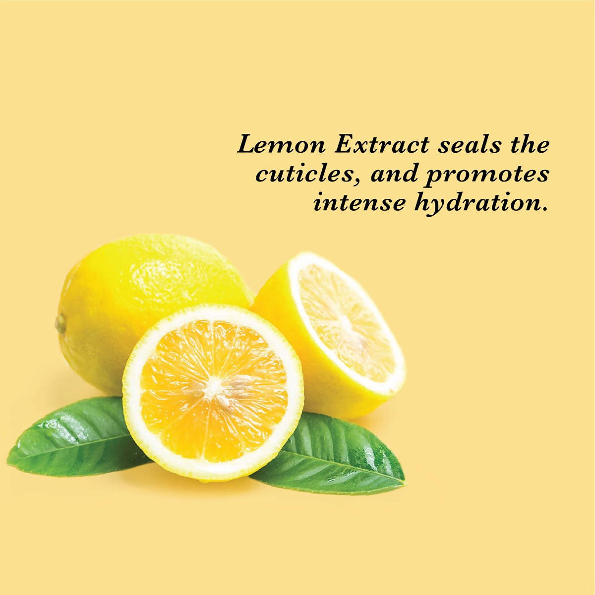 https://cdn.shopify.com/s/files/1/1857/6931/products/zD7eIUjBam.jpg?v=1627008137