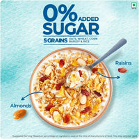 https://cdn.shopify.com/s/files/1/1857/6931/products/zFSQJPL8PD.jpg?v=1708606334