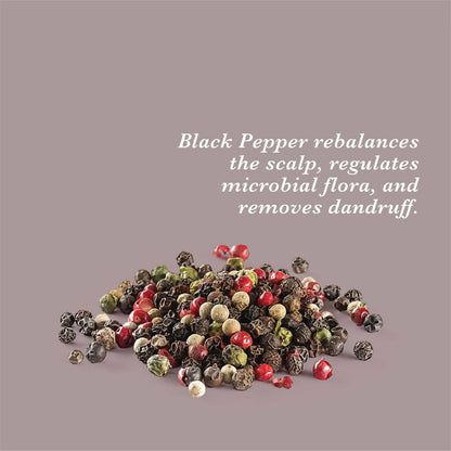 https://cdn.shopify.com/s/files/1/1857/6931/products/zGzfUEpk62.jpg?v=1627008137