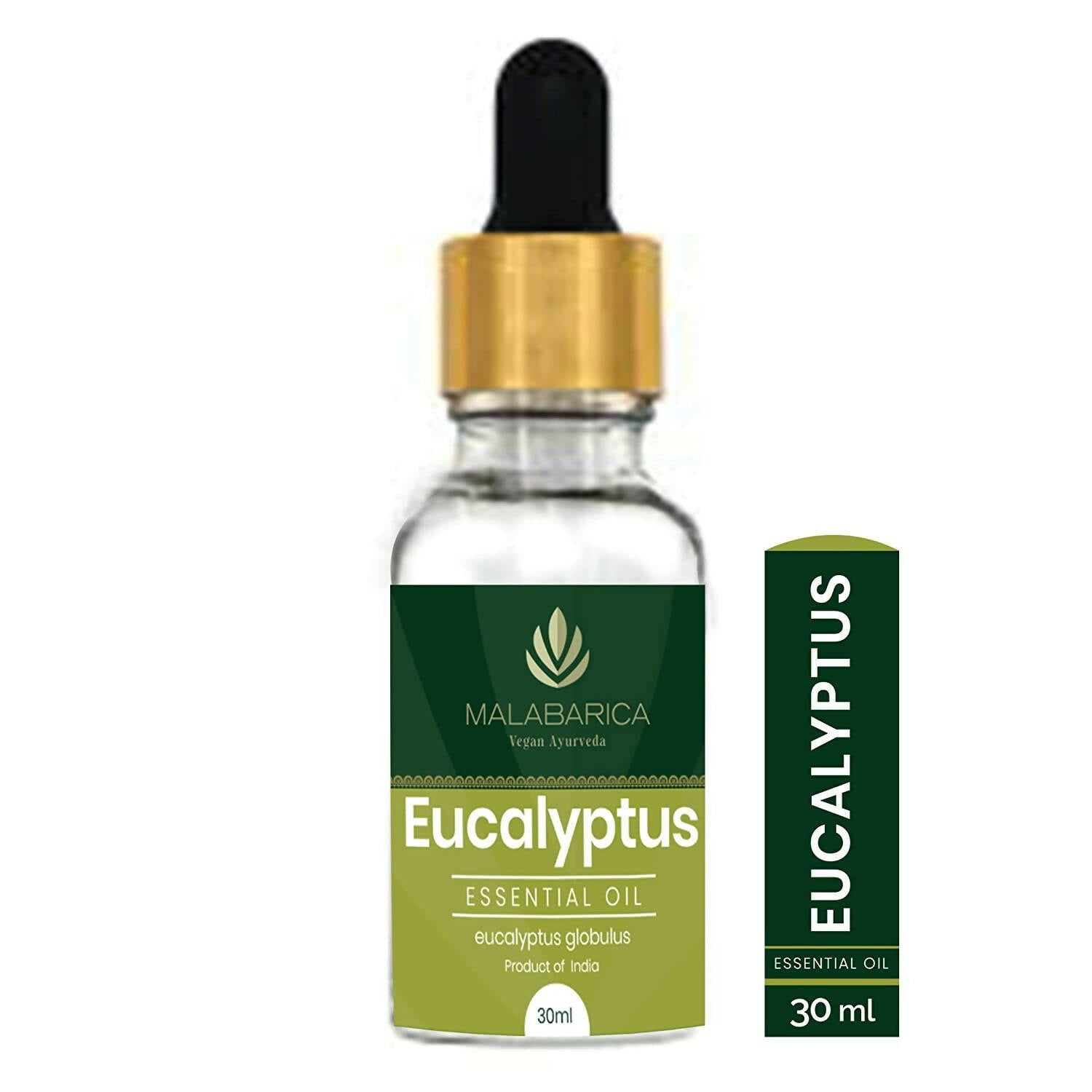 https://cdn.shopify.com/s/files/1/1857/6931/products/zM79GJvz5Z.jpg?v=1668076602
