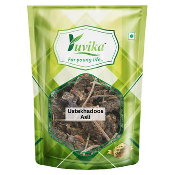 https://cdn.shopify.com/s/files/1/1857/6931/files/zMaPlxl7lj.png?v=1761917838