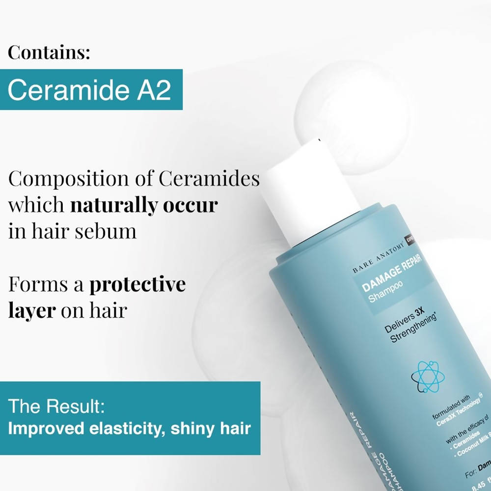 https://cdn.shopify.com/s/files/1/1857/6931/products/zO4zxuPLtT.jpg?v=1689251850