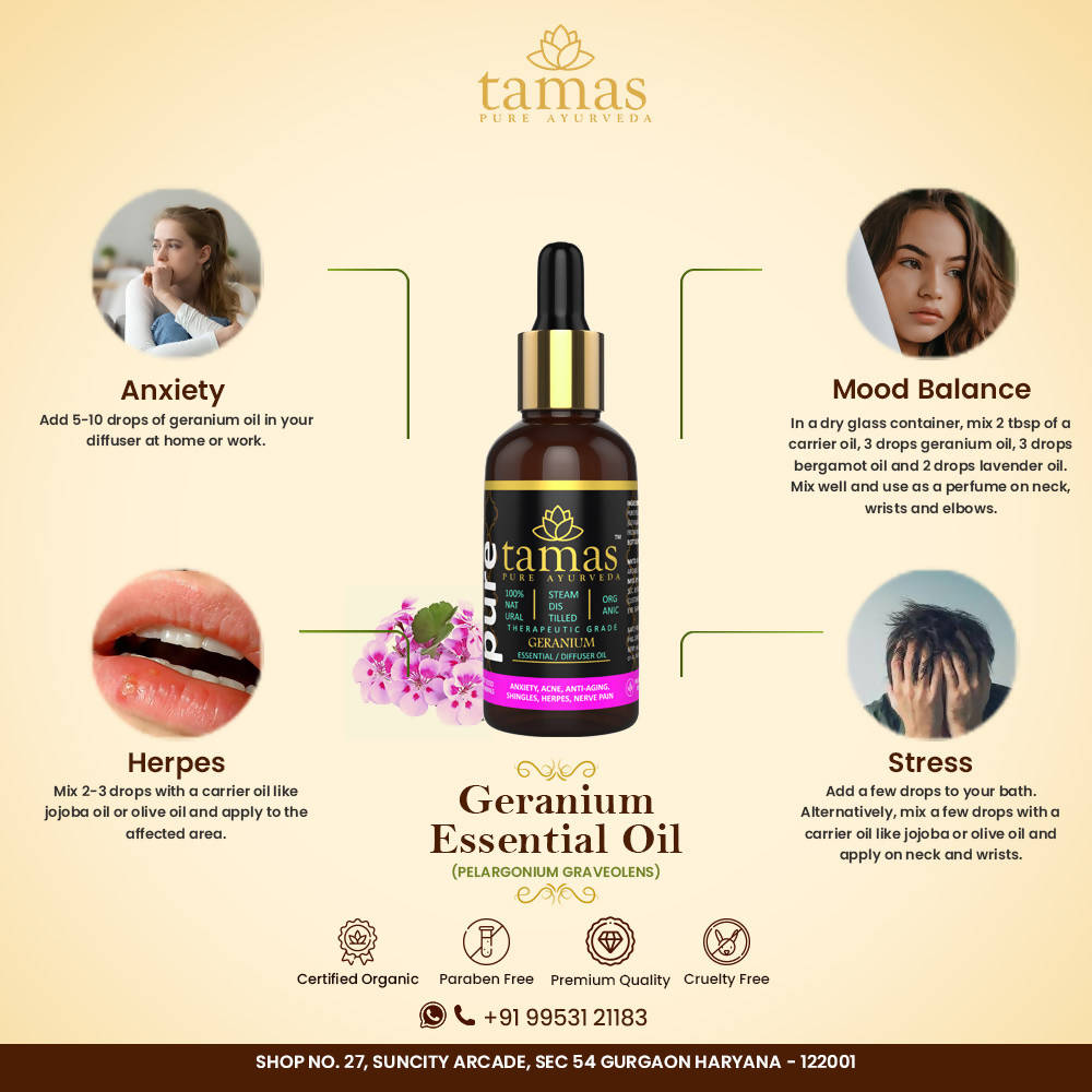 https://cdn.shopify.com/s/files/1/1857/6931/products/zPlRidOLxd.jpg?v=1626402536