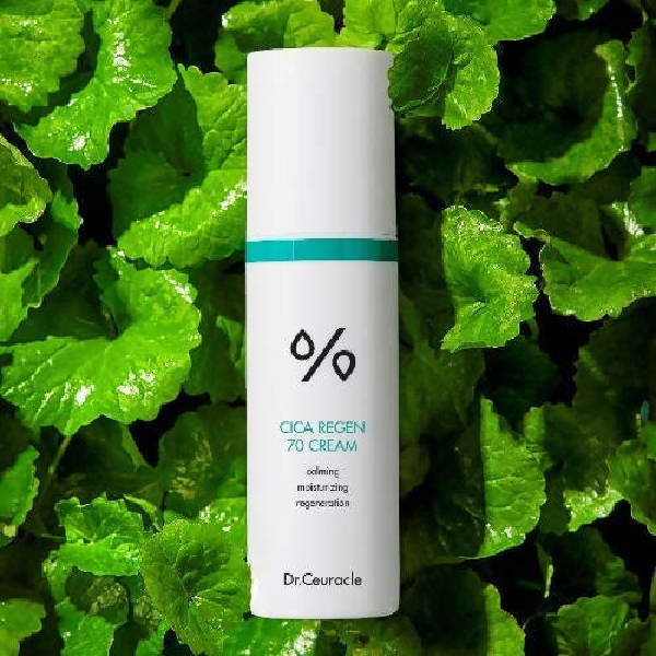 https://cdn.shopify.com/s/files/1/1857/6931/products/zR8fXpLPbq.jpg?v=1630031601