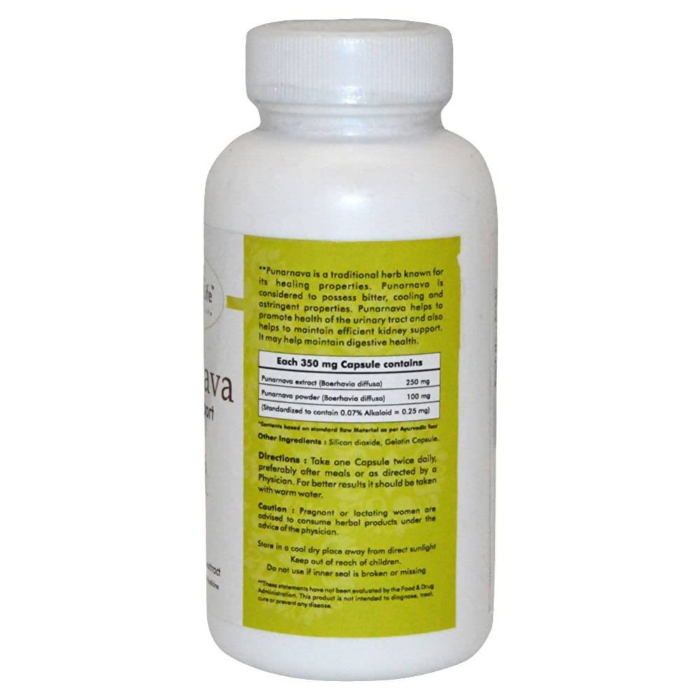 https://cdn.shopify.com/s/files/1/1857/6931/files/zRWqKQPR88-511706.jpg?v=1736151177
