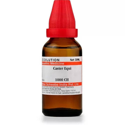 https://cdn.shopify.com/s/files/1/1857/6931/products/zRfVzvRiu2.jpg?v=1613912203