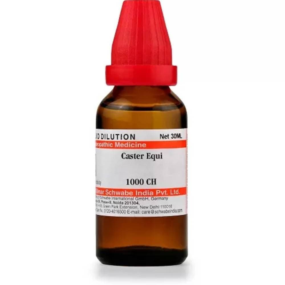 https://cdn.shopify.com/s/files/1/1857/6931/products/zRfVzvRiu2.jpg?v=1613912203