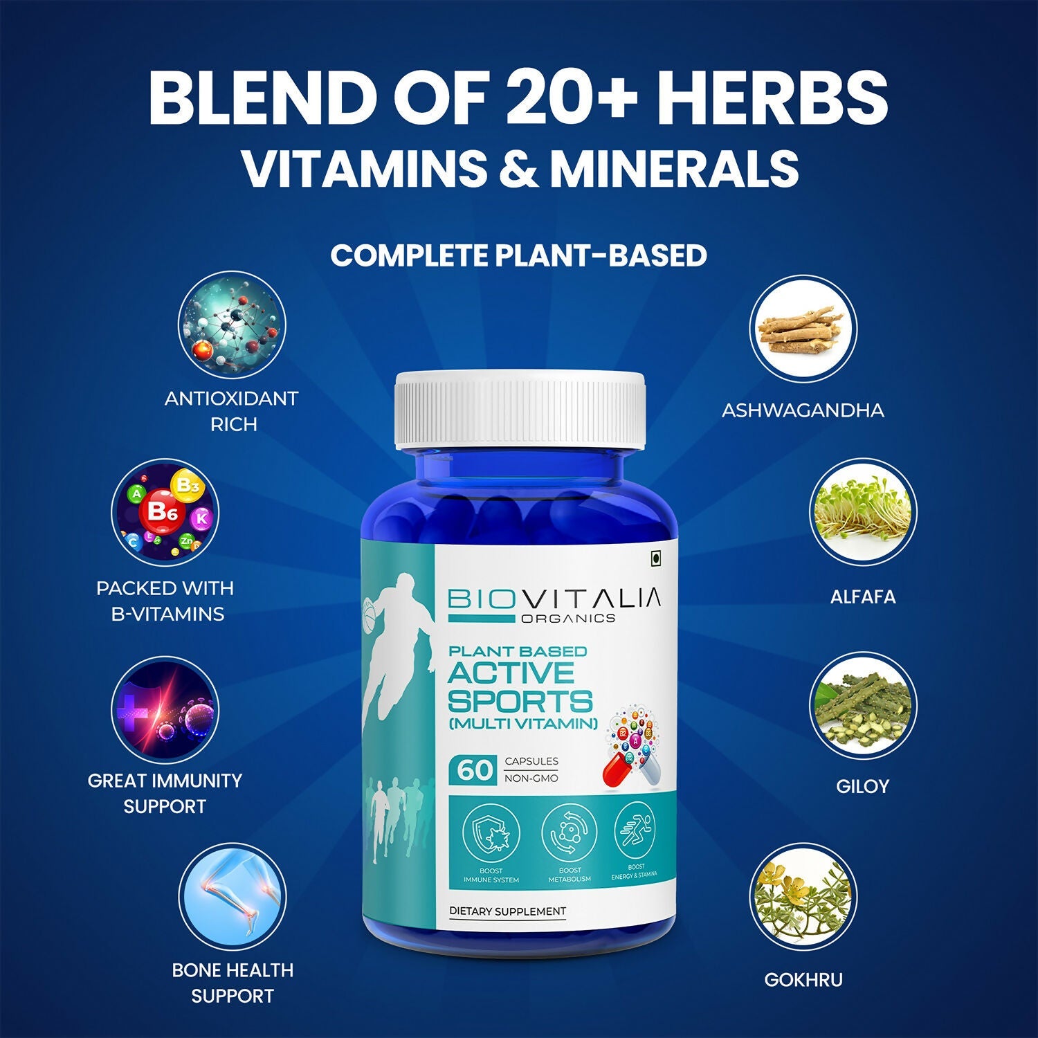 https://cdn.shopify.com/s/files/1/1857/6931/files/zSz4nclnwd.jpg?v=1727680209