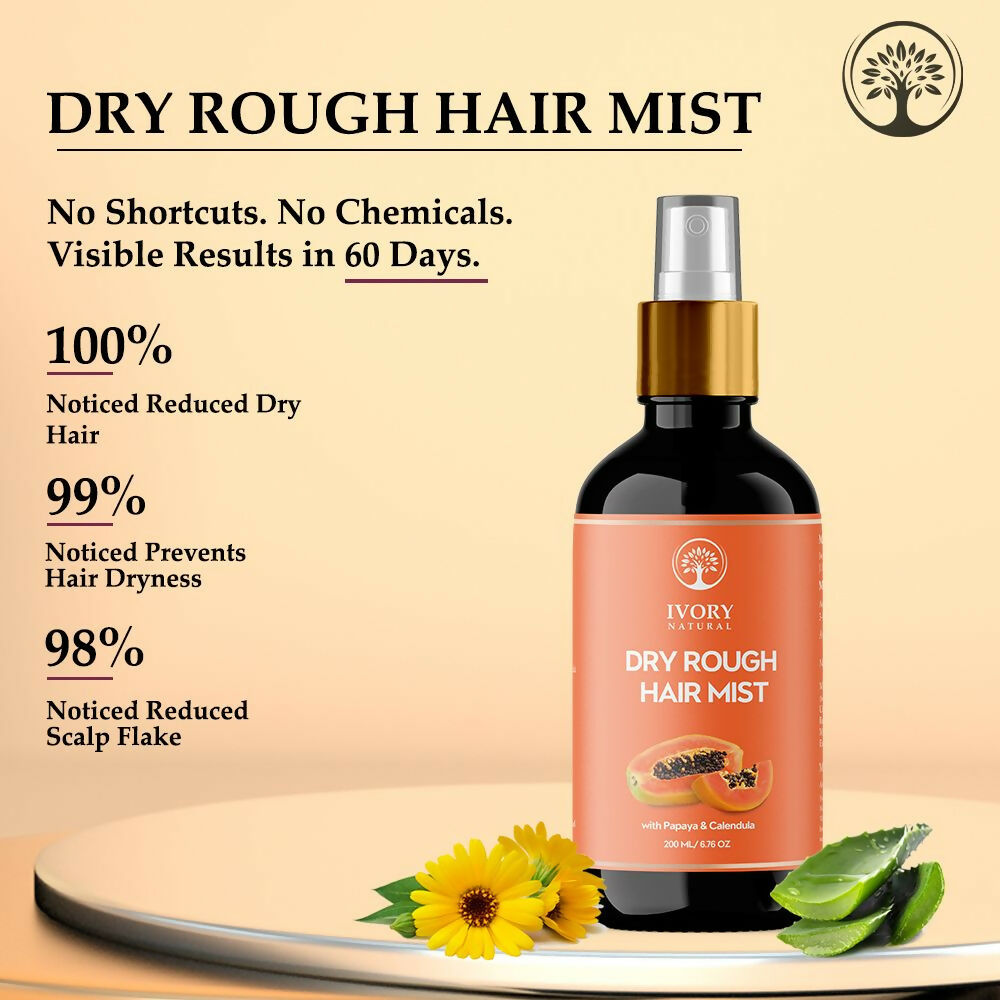 https://cdn.shopify.com/s/files/1/1857/6931/files/zViURPaq4z.jpg?v=1717584588