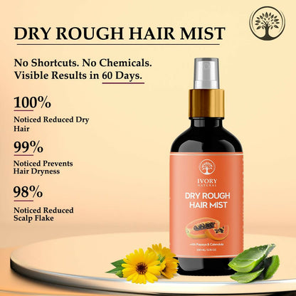 https://cdn.shopify.com/s/files/1/1857/6931/files/zViURPaq4z.jpg?v=1717584588