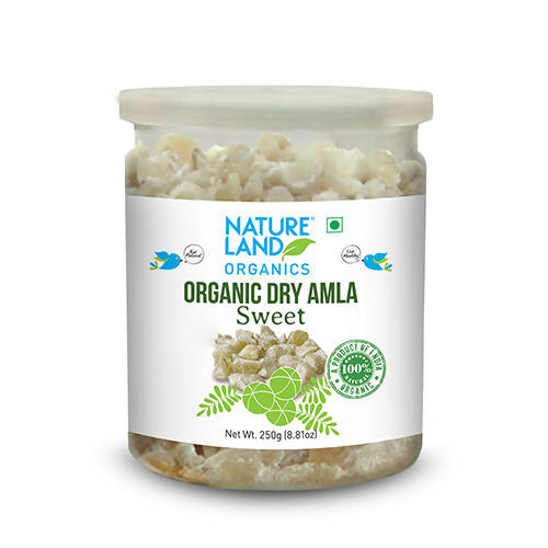 Image 1 of 250 gm / Pack of 1 for the product Nature Land Organics Dry Amla Candy Sweet