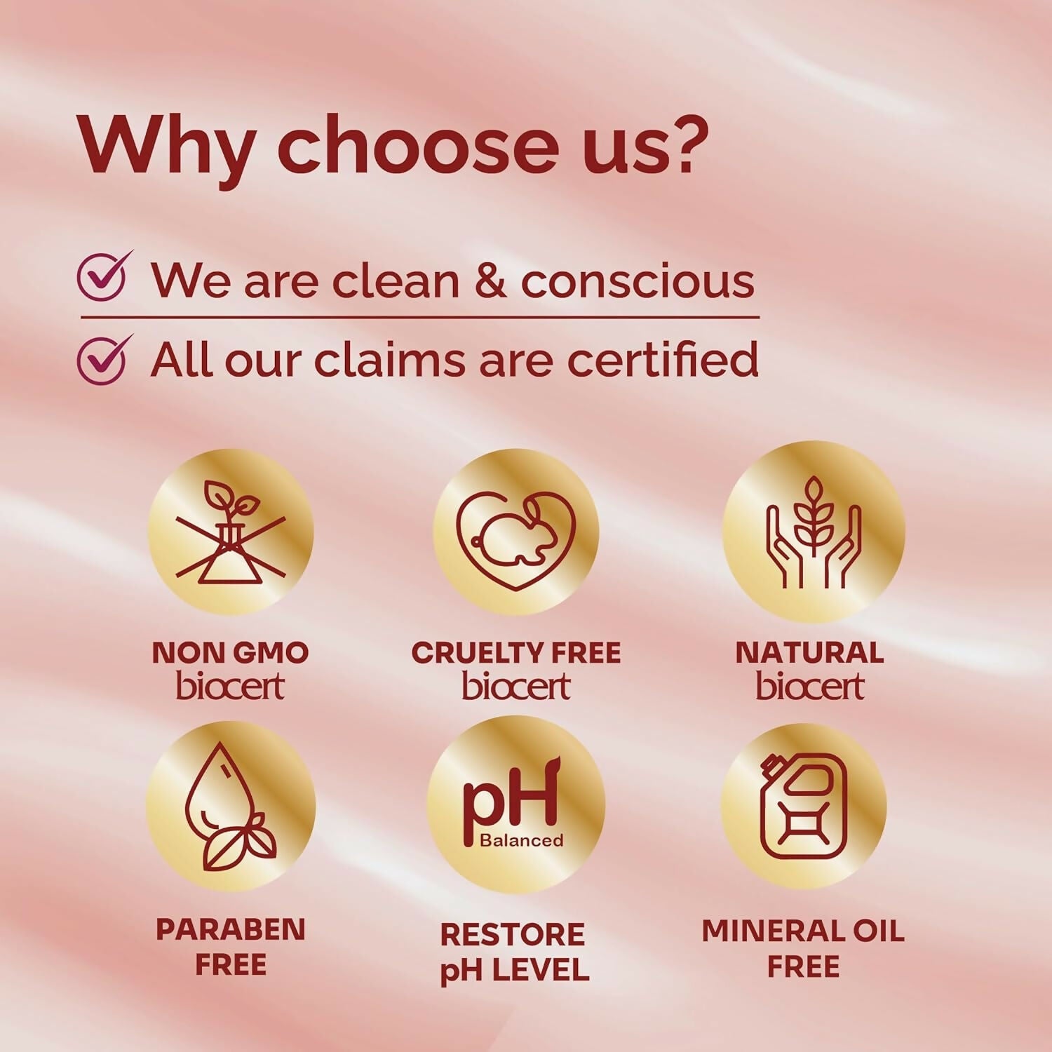 https://cdn.shopify.com/s/files/1/1857/6931/files/zbi6sOUqSH.jpg?v=1724218259