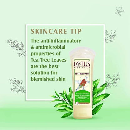 https://cdn.shopify.com/s/files/1/1857/6931/products/zbnJ5nlpZc.jpg?v=1617887314