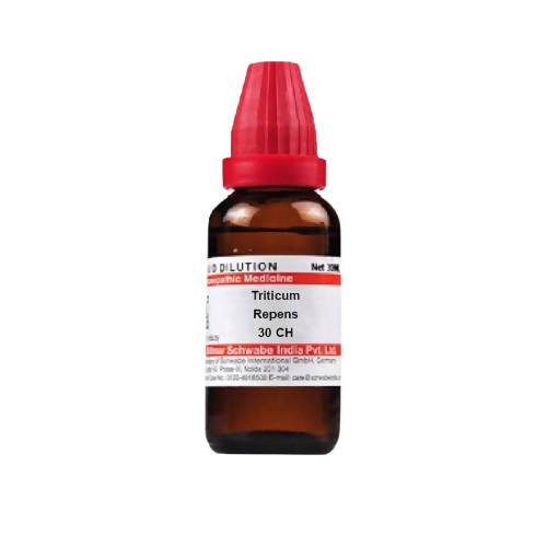 https://cdn.shopify.com/s/files/1/1857/6931/products/zc1XtvtGcx.jpg?v=1640860099