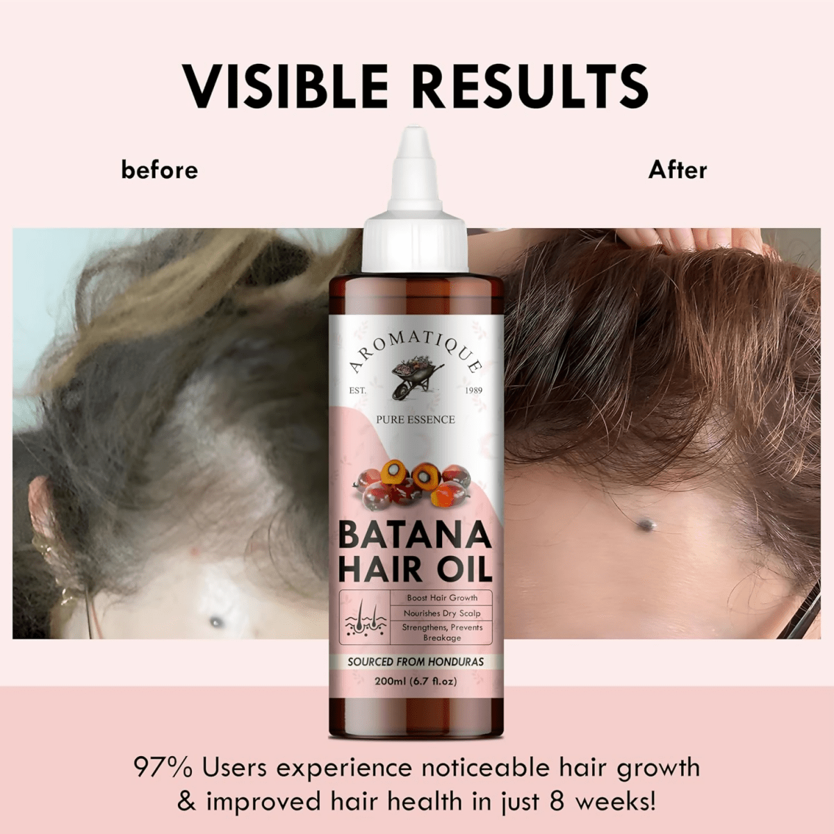 https://cdn.shopify.com/s/files/1/1857/6931/files/ziziSe0rJE-959714.png?v=1736149327