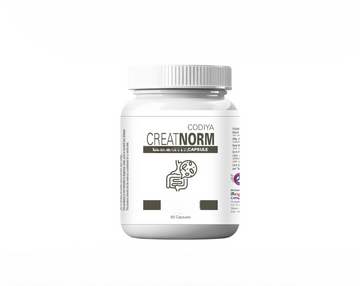 https://cdn.shopify.com/s/files/1/1857/6931/files/zk6bLUjrVn-Photoroom.png?v=1772084968