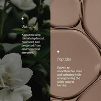 https://cdn.shopify.com/s/files/1/1857/6931/products/zlDn17cWqQ.jpg?v=1715255296