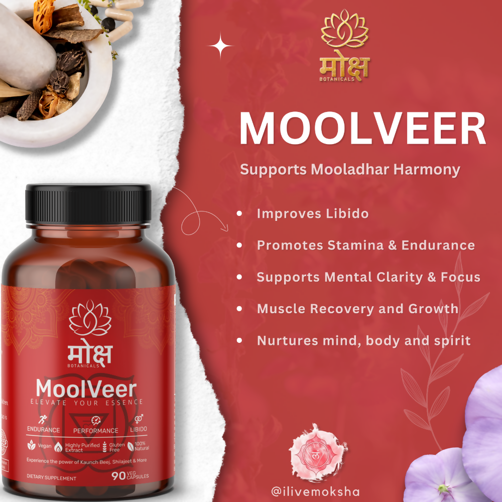 https://cdn.shopify.com/s/files/1/1857/6931/files/zn7z2eCScu.png?v=1728047880