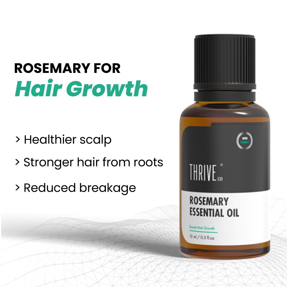 https://cdn.shopify.com/s/files/1/1857/6931/files/zpBcRzsAEB.jpg?v=1713852461