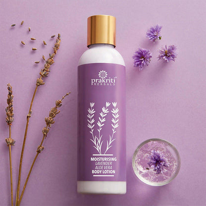 https://cdn.shopify.com/s/files/1/1857/6931/products/zrBJ1LTAqG.jpg?v=1634364018