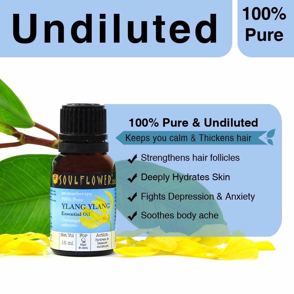 https://cdn.shopify.com/s/files/1/1857/6931/products/zsFjreU5tx.jpg?v=1614911240