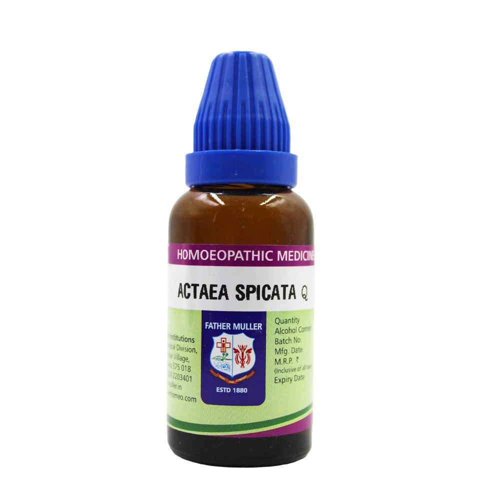 https://cdn.shopify.com/s/files/1/1857/6931/files/zsGntFLtxp.jpg?v=1718099057