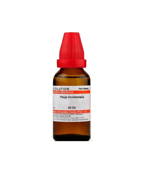https://cdn.shopify.com/s/files/1/1857/6931/products/zseKlCTa0s.jpg?v=1627007632