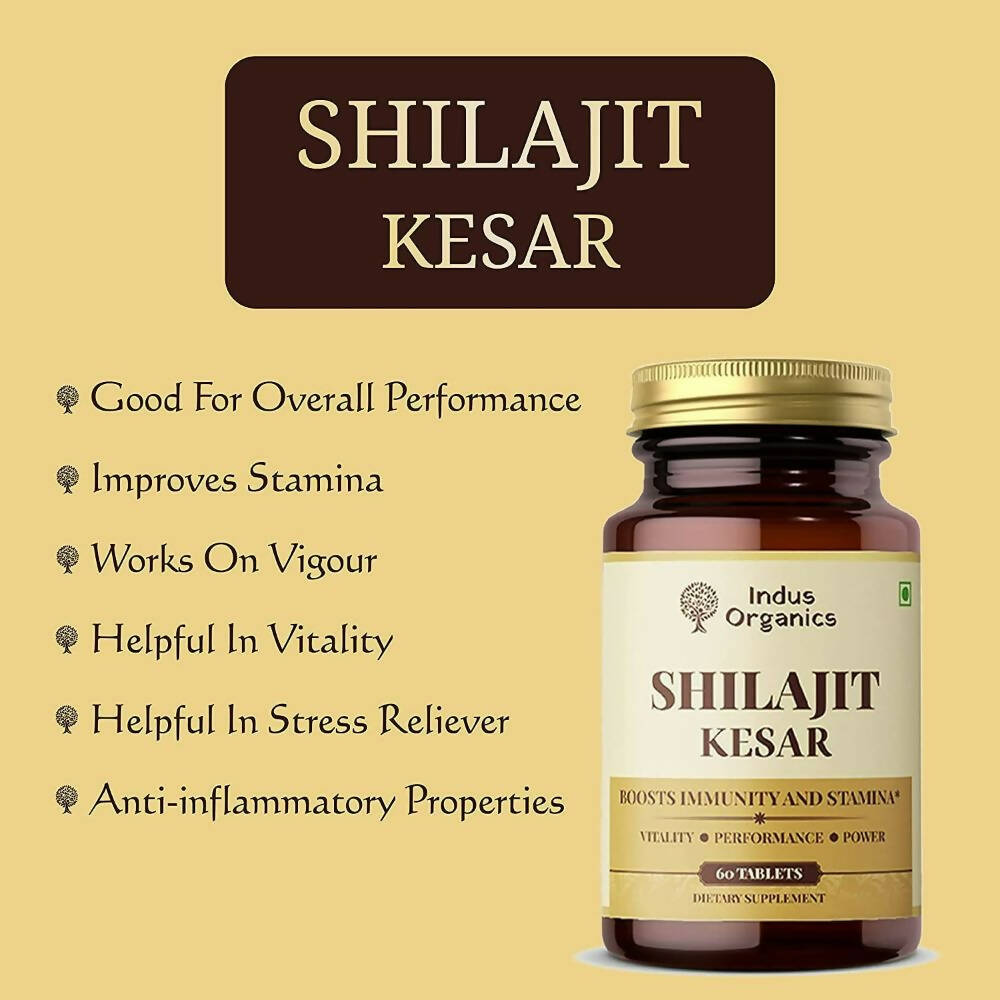 https://cdn.shopify.com/s/files/1/1857/6931/products/ztsShtUz3h.jpg?v=1694092761