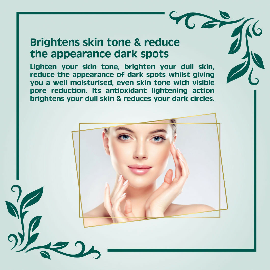 https://cdn.shopify.com/s/files/1/1857/6931/files/zuU6V8fFbk.jpg?v=1732017663